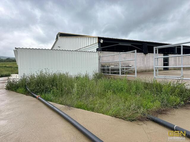 39-GSN GAYRİMENKUL'DEN AVRUPA STANDARTLARINDA RUHSATLI BESİÇİFTLİĞİ